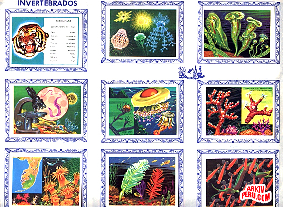 ciencias_naturales3_70s_arkivperu.jpg